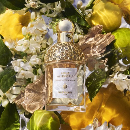 GUERLAIN Aqua Allegoria Bergamote Calabria - Eau de Toilette GUERLAIN Aqua Allegoria Bergamote Calabria - Eau de Toilette
